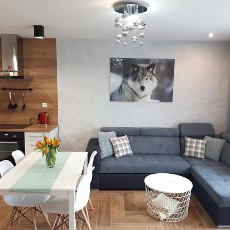 Apartamenty Pod Dzikowcem Boguszów-Gorce 외부 사진