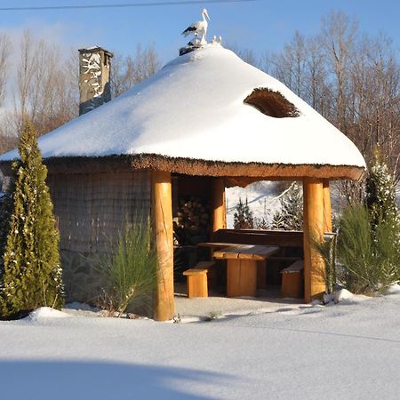 Apartamenty Pod Dzikowcem Boguszów-Gorce 외부 사진