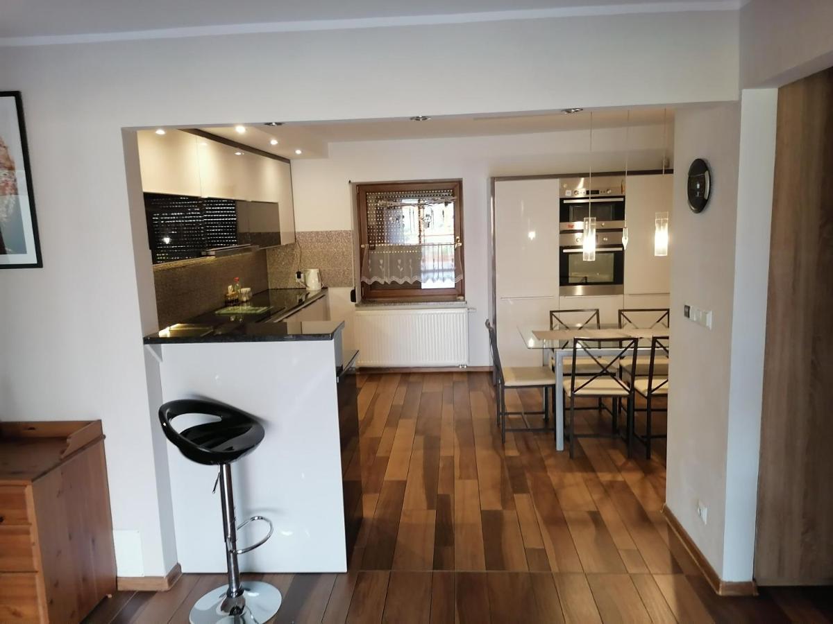 Apartamenty Pod Dzikowcem Boguszów-Gorce 외부 사진