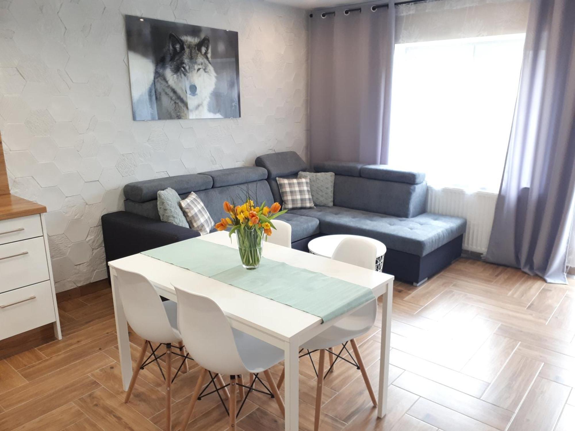 Apartamenty Pod Dzikowcem Boguszów-Gorce 외부 사진