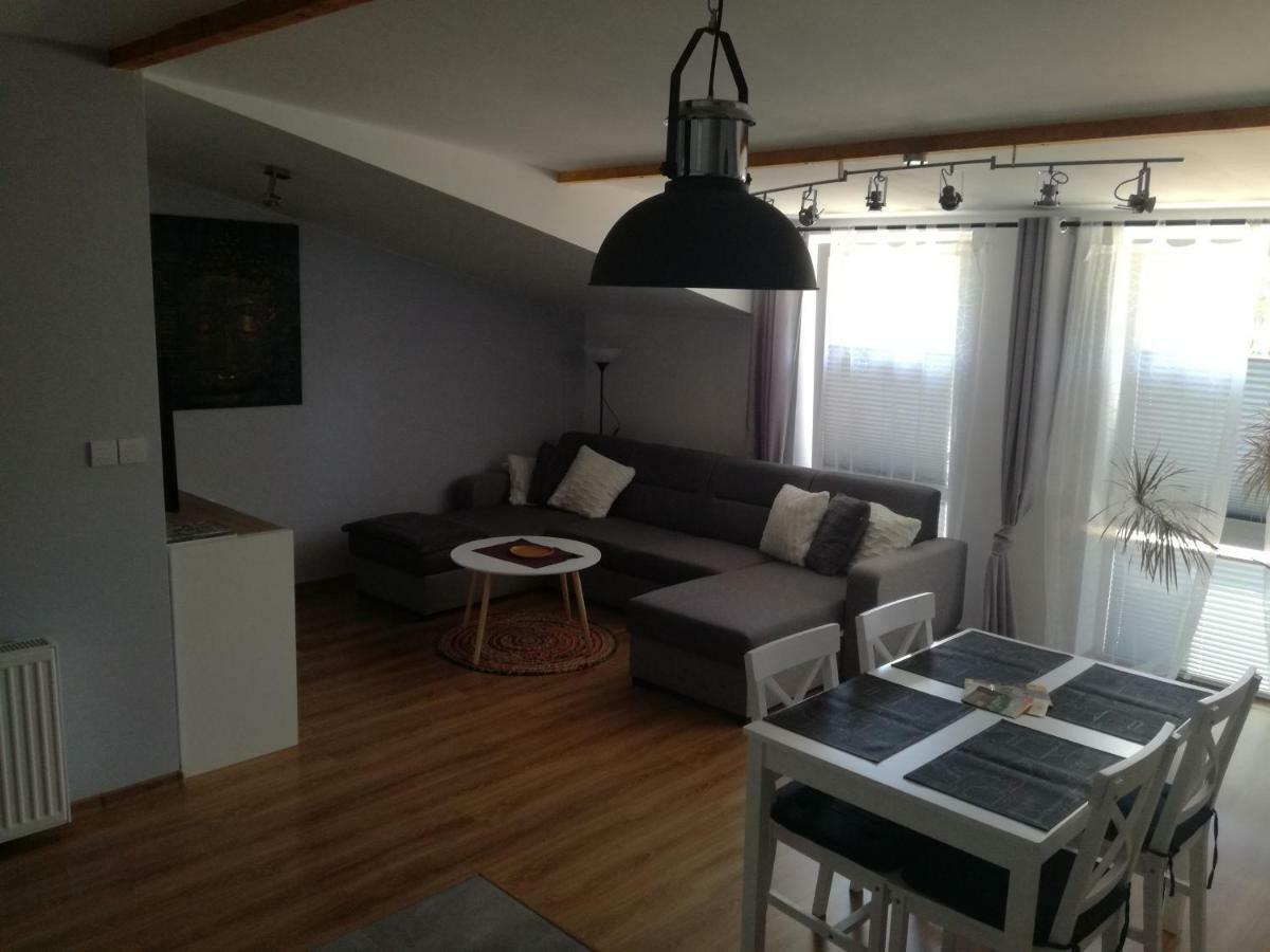 Apartamenty Pod Dzikowcem Boguszów-Gorce 외부 사진