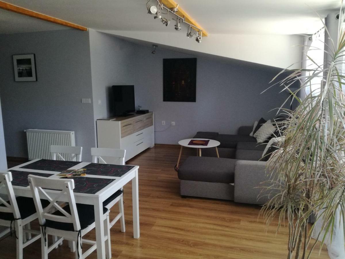 Apartamenty Pod Dzikowcem Boguszów-Gorce 외부 사진